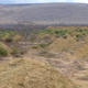 Illustration for article titled These 4,000-Year-Old Termite Mounds Can Be Seen From Spaceem/em